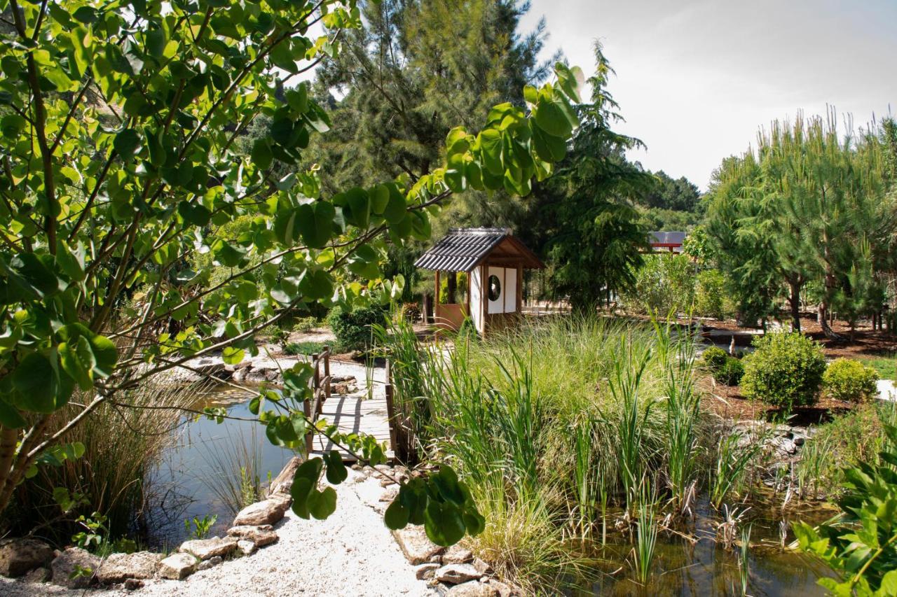 Bed and Breakfast Quinta Japonesa Carvalhal Bemfeito Exteriér fotografie