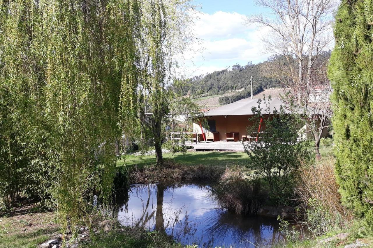 Bed and Breakfast Quinta Japonesa Carvalhal Bemfeito Exteriér fotografie