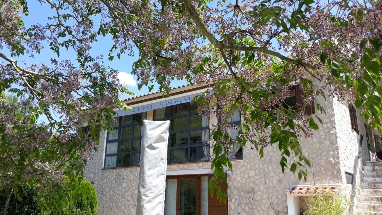 Bed and Breakfast Quinta Japonesa Carvalhal Bemfeito Exteriér fotografie